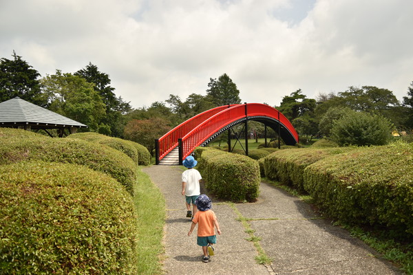 うとの子供