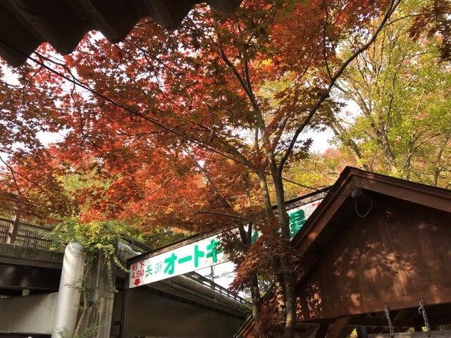 長瀞AC場