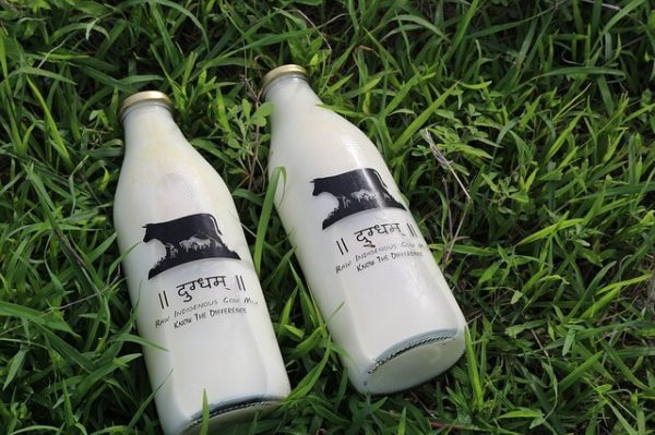 牛乳飲み放題